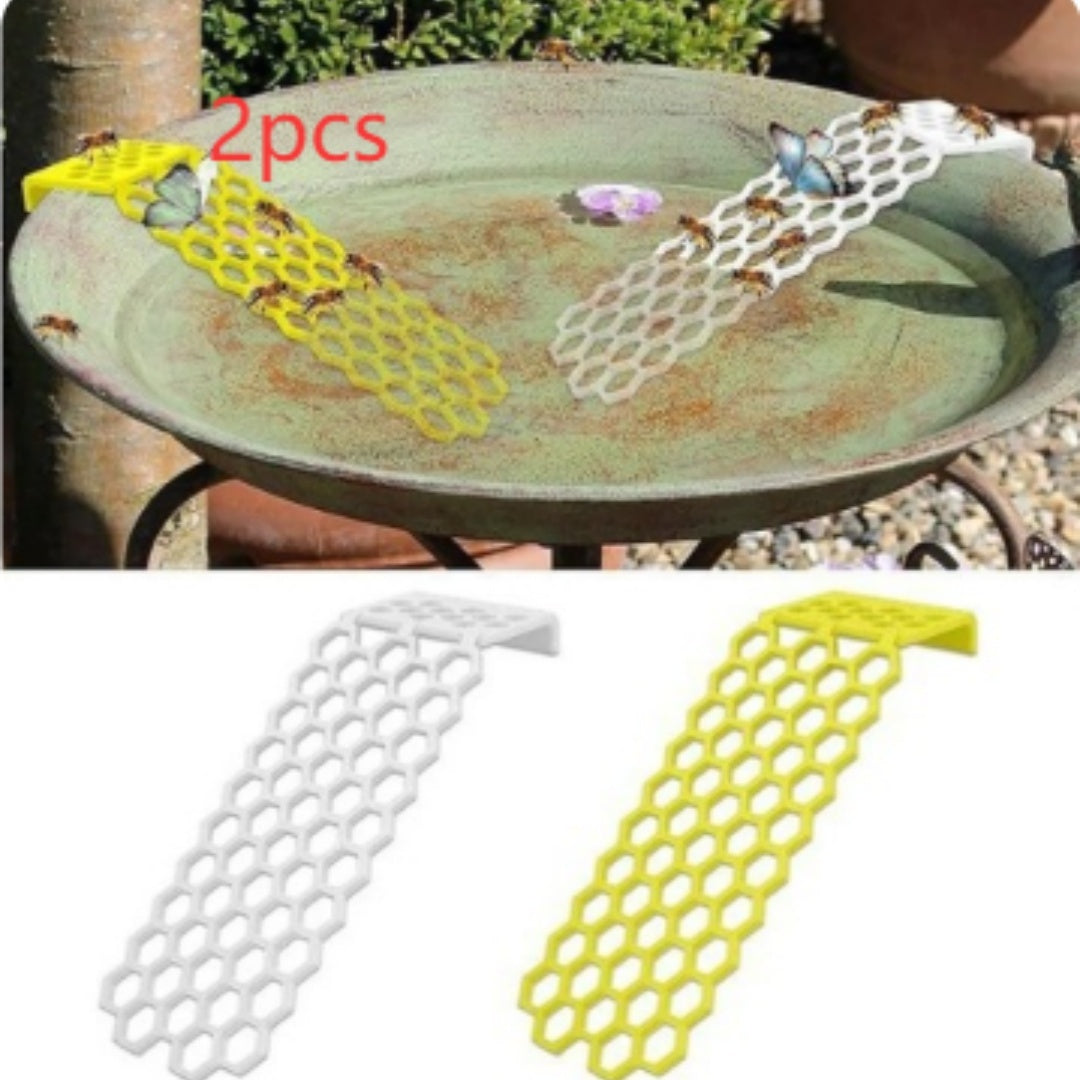 Bee Insect Drinking Water Bee Ladder Insect Floating