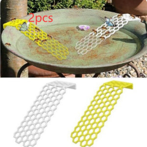 Bee Insect Drinking Water Bee Ladder Insect Floating
