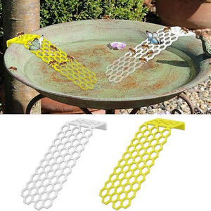 Bee Insect Drinking Water Bee Ladder Insect Floating
