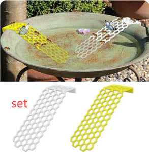 Bee Insect Drinking Water Bee Ladder Insect Floating